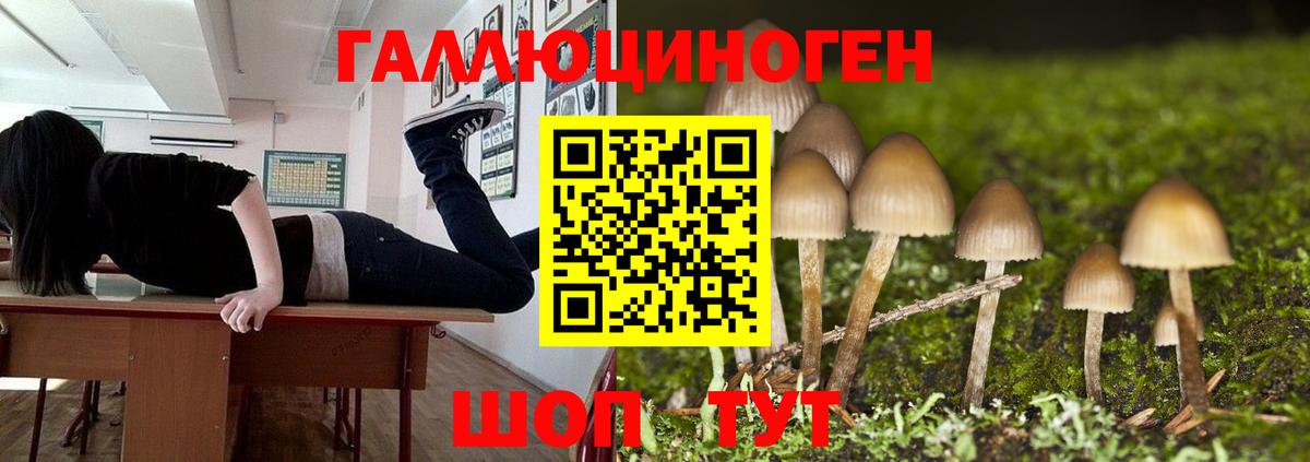 Псилоцибиновые грибы Magic Shrooms  Вход с VPN  Сорочинск  Псилоцибиновые грибы мухоморы 